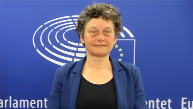 Europarlamentarka Strik: Schmidt mijenja Izborni zakon BiH u korist HDZ-a BiH